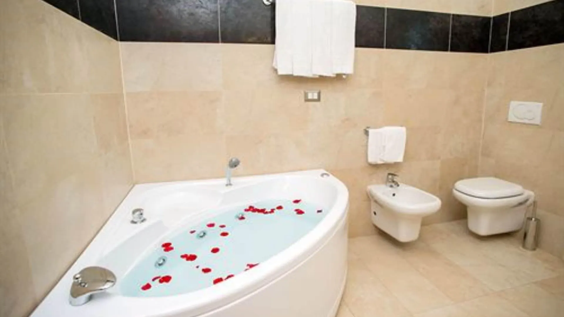 Hotel Fiera Congressi Milán Italia